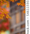 Autumn leaves of Kyoto Nizonin 54611593