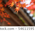 Autumn leaves of Kyoto Nizonin 54611595