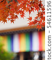 Autumn leaves of Kyoto Nizonin 54611596