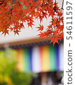 Autumn leaves of Kyoto Nizonin 54611597