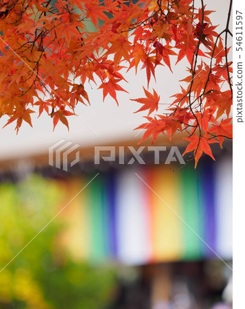 京都Nizonin秋葉 54611597