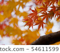 Autumn leaves of Kyoto Nizonin 54611599