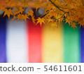 Autumn leaves of Kyoto Nizonin 54611601