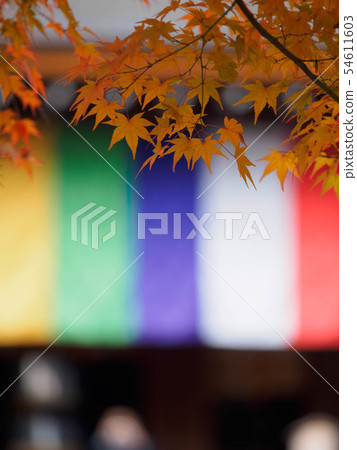 Autumn leaves of Kyoto Nizonin 54611603