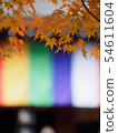 Autumn leaves of Kyoto Nizonin 54611604
