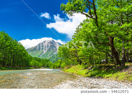 《Nagano Prefecture》 Clear water and fresh green of Azusa River in Kamikochi, early summer 54612071