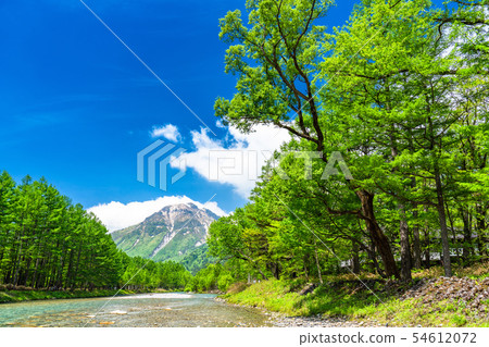 《Nagano Prefecture》 Clear water and fresh green of Azusa River in Kamikochi, early summer 54612072