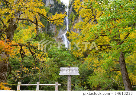 Fall Galaxy Falls 54613253