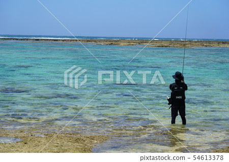 美好的海洋捕魚風景 54613378