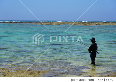 美好的海洋捕魚風景 54613379