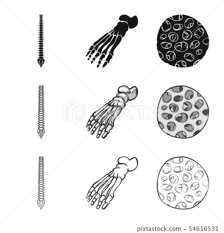 Isolated object of medicine and clinic logo. Set of medicine and medical vector icon for stock. Isolated object of medicine and clinic logo. Set of medicine and medical vector icon for stock. 54616531