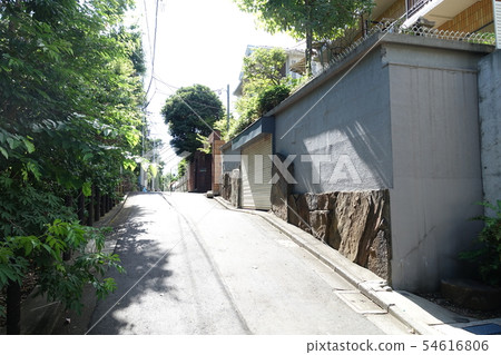 武藏關公園（Nerima Ward Sekicho Kitasanchome）附近安靜的住宅區 54616806