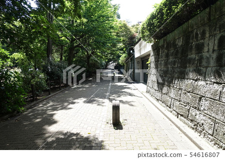Quiet residential area adjacent to Musashi Seki Park (Nerima Ward Sekicho Kitasanchome) 54616807