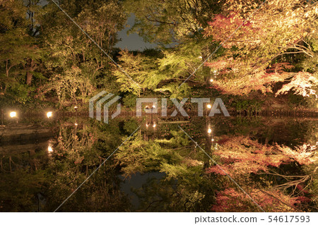 Swan garden Snow hanging lighting art 54617593