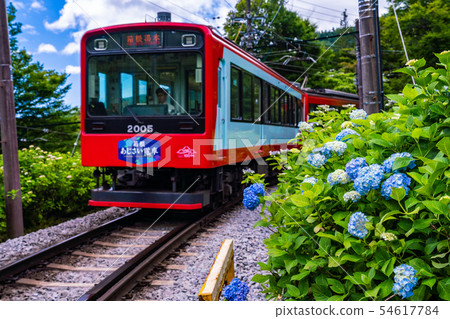 (Kanagawa Prefecture) Hakone Tozan Railway Ajisai Train 54617784