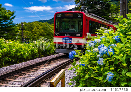 (Kanagawa Prefecture) Hakone Tozan Railway Ajisai Train 54617786