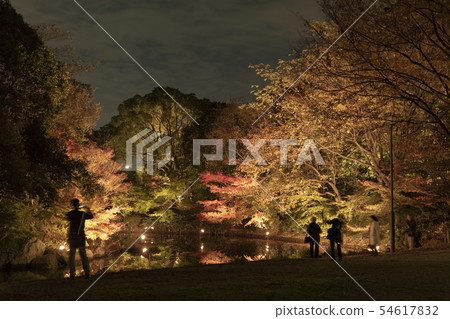 天鵝花園雪掛照明藝術 54617832