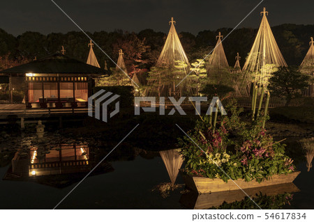 天鵝花園雪掛照明藝術 54617834