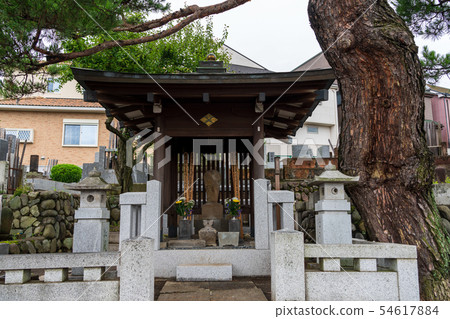 Matsuhime的墓八王子市指定的廢墟 Matsuhime的墓八王子市指定的廢墟 54617884