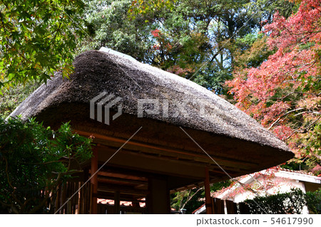 Autumn leaves spot of Saga Prefecture Kanzaki Autumn leaves spot of Saga Prefecture Kanzaki 54617990