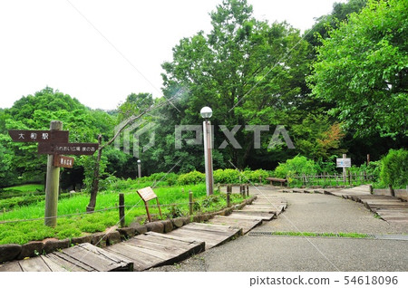 在大和市的入口附近的木板路和路標聯絡森林入口 在大和市的入口附近的木板路和路標聯絡森林入口 54618096