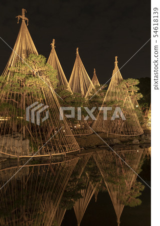 天鵝花園雪掛照明藝術 54618139