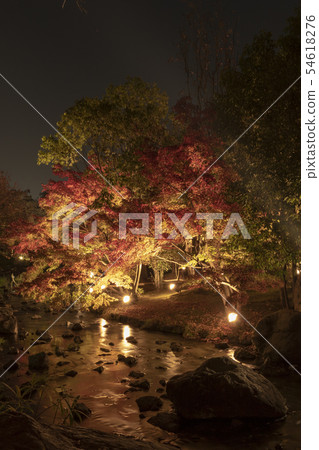 天鵝花園雪掛照明藝術 54618276