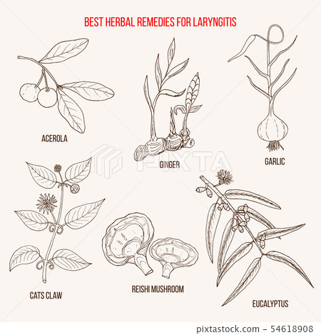 Best herbal remedies for laryngitis 54618908