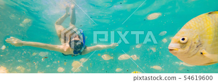 Happy young woman swimming underwater in the tropical ocean BANNER, LONG FORMAT Happy young woman swimming underwater in the tropical ocean BANNER, LONG FORMAT 54619600