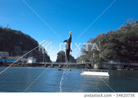 Shimoda Marine Aquarium Dolphin Show 54620736
