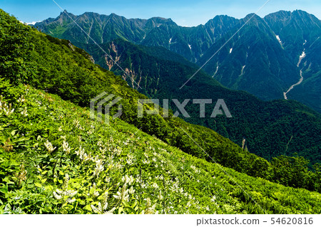 Hotaka Mountain Peaks from the Northern Alps, Shishidaira Hotaka Mountain Peaks from the Northern Alps, Shishidaira 54620816