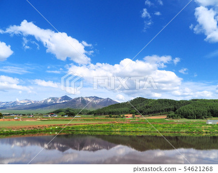Naka Furano in the early summer magnificent panorama of the blue sky and the Daisetsu Mountains 54621268