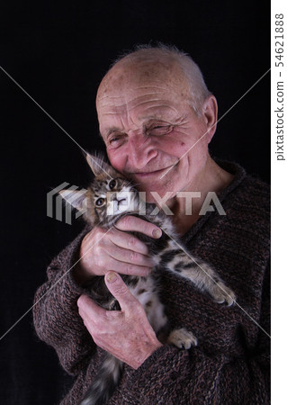 An elderly man holds the Maine Coon kitten to his An elderly man holds the Maine Coon kitten to his 54621888