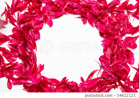 Spring composition of red peony petals frame with place for text on gray background. Flat lay, top Spring composition of red peony petals frame with place for text on gray background. Flat lay, top 54622121