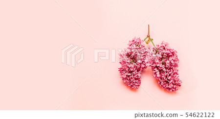 Medical concept of pink flowers in the form of a light pink background with place for text. 54622122