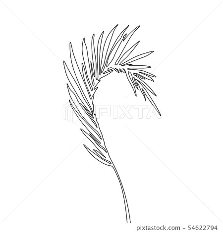 One line drawing areca palm leaf. Continuous line exotic tropical plant. 54622794