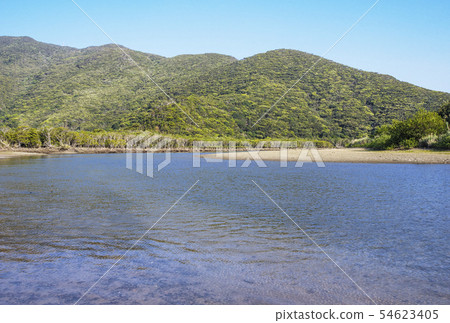 奄美大島景觀、住代河和原始紅樹林、紅樹林、奄美自然 奄美大島景觀、住代河和原始紅樹林、紅樹林、奄美自然 54623405