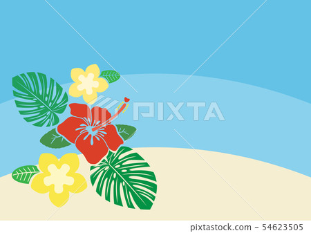 Hibiscus Plumeria Monstera 54623505