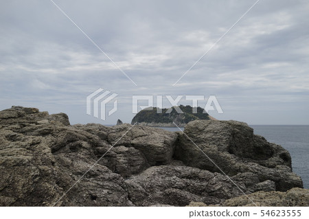 Seals from Seaside 54623555