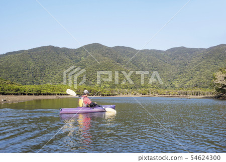 奄美大島紅樹林獨木舟紅樹林原生林和蘇里卡河自然之旅 54624300