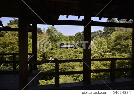 A view from Tsutenbashi 54624884