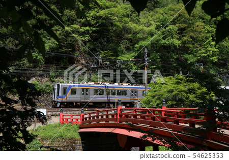Nankai Koya Line Gouranbashi Station train 54625353