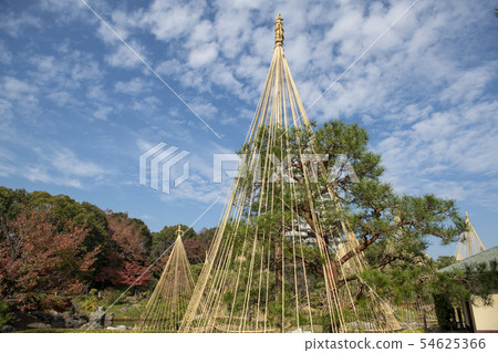 秋天天鵝庭院 54625366