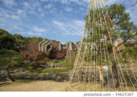 秋天天鵝庭院 54625367