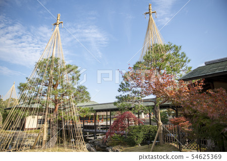 秋天天鵝庭院 秋天天鵝庭院 54625369