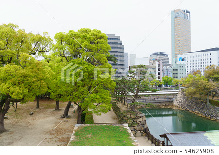 [Kagawa Prefecture] Takamatsu Castle Tenshu 54625908