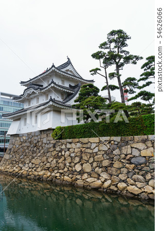 [Kagawa Prefecture] Takamatsu Castle Aoi 54626066