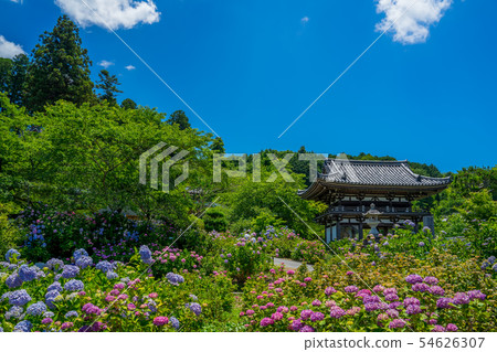 Tanshu Kannon Temple Ajisai Temple Tanshu Kannon Temple Ajisai Temple 54626307
