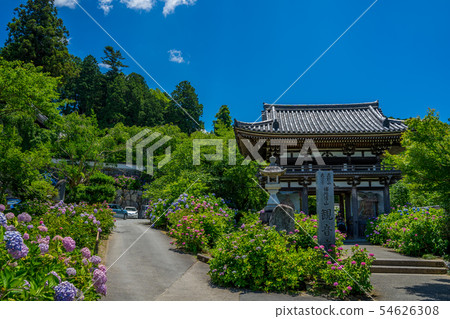 Tanshu Kannon Temple Ajisai Temple 54626308