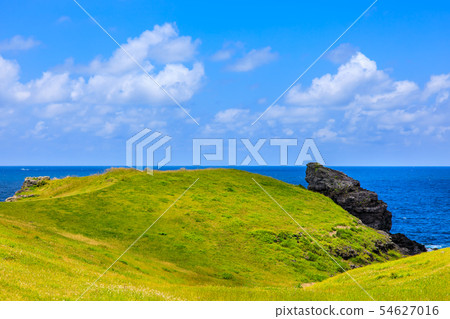 Makizaki花園地方（笑臉大猩猩岩石）[長崎縣壹岐市] 54627016